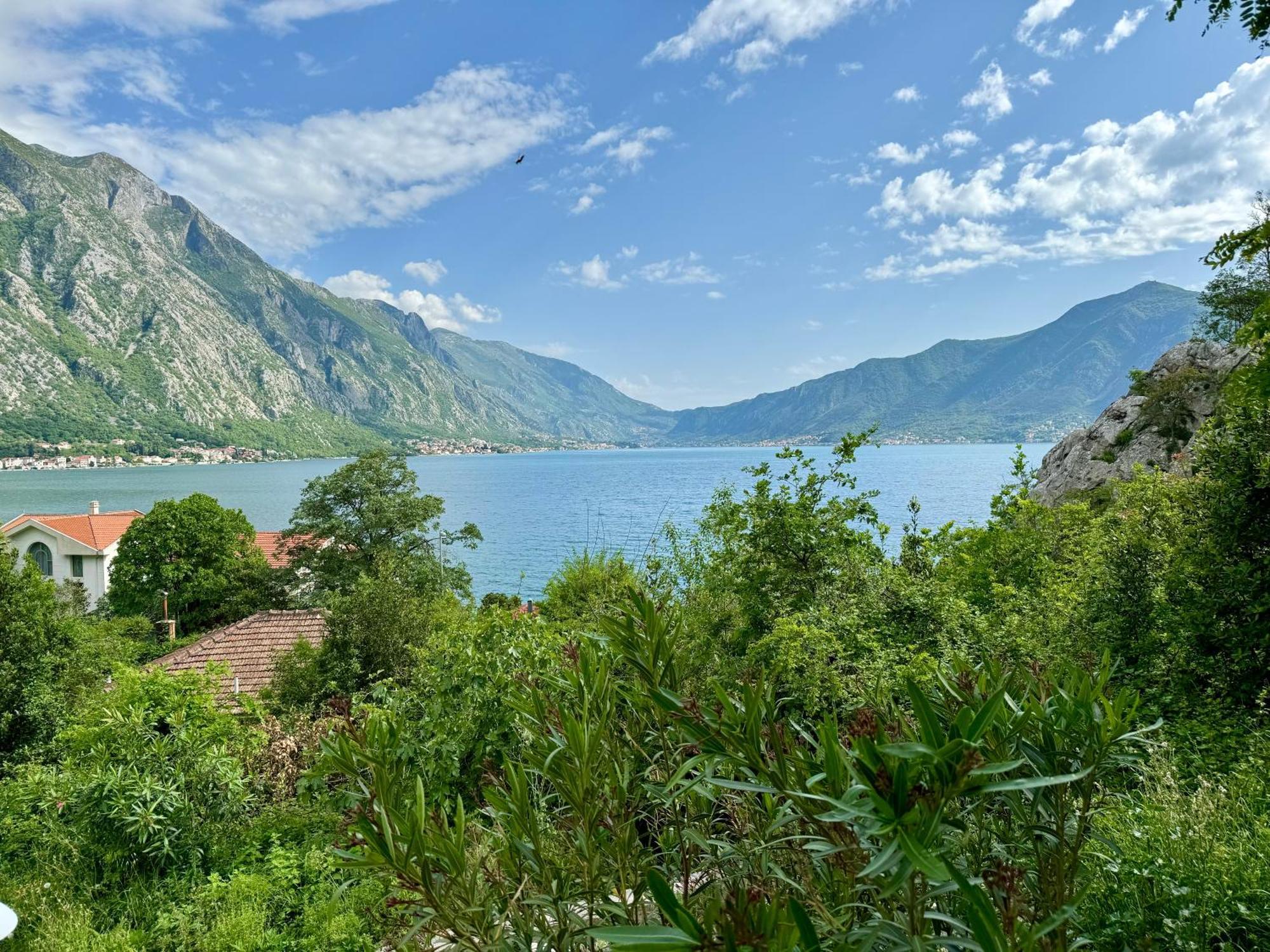 Olea Apartments Orahovac Kotor Eksteriør bilde